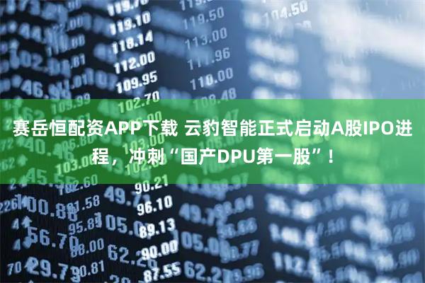 赛岳恒配资APP下载 云豹智能正式启动A股IPO进程，冲刺“国产DPU第一股”！