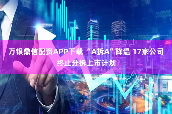 万银鼎信配资APP下载 “A拆A”降温 17家公司终止分拆上市计划