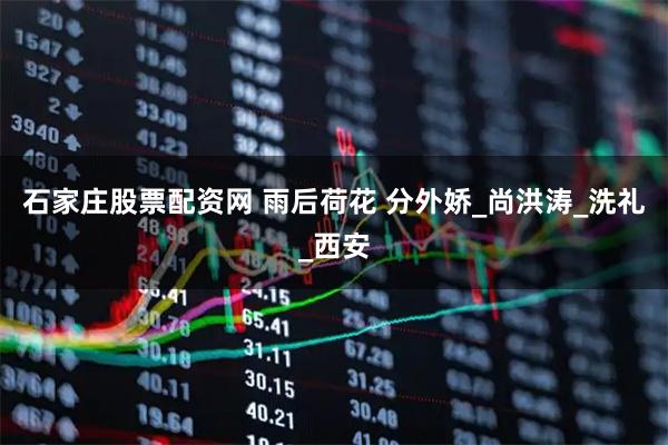 石家庄股票配资网 雨后荷花 分外娇_尚洪涛_洗礼_西安