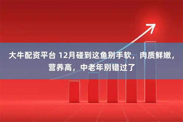 大牛配资平台 12月碰到这鱼别手软，肉质鲜嫩，营养高，中老年别错过了